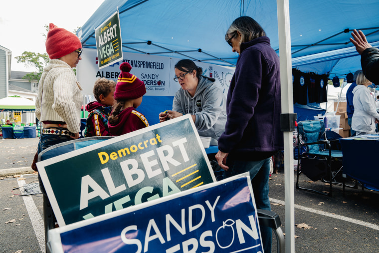 Sandy Anderson was one of 12 Democrats to win election to the Fairfax County School Board this week, shutting out all the GOP-backed candidates. 