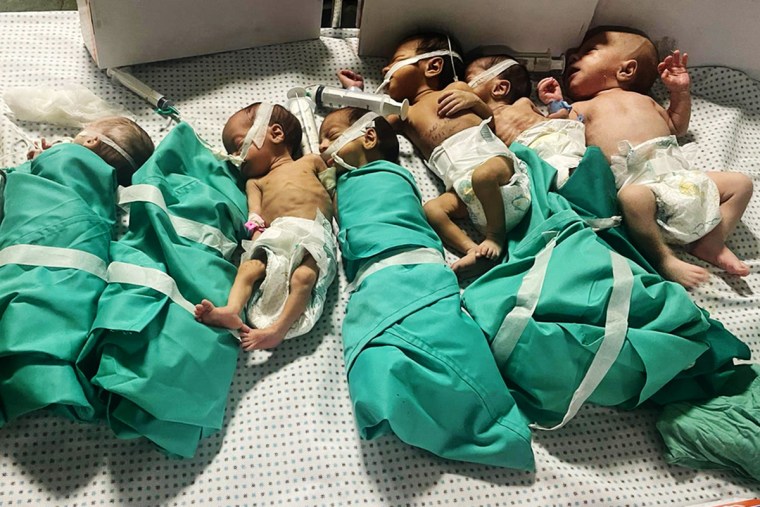 Babies at Al-Shifa hospital in Gaza.