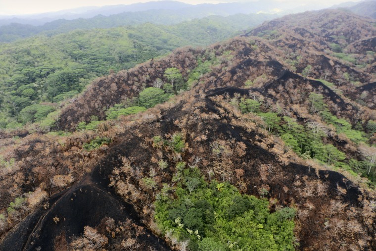 A charred mountain ridge near Mililani, Oahu, Hawaii, on Nov. 7, 2023. 