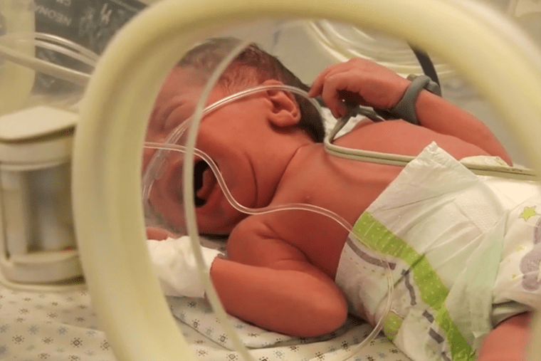 No incubators, medicine or milk: Gaza's premature babies are 'slowly being  killed