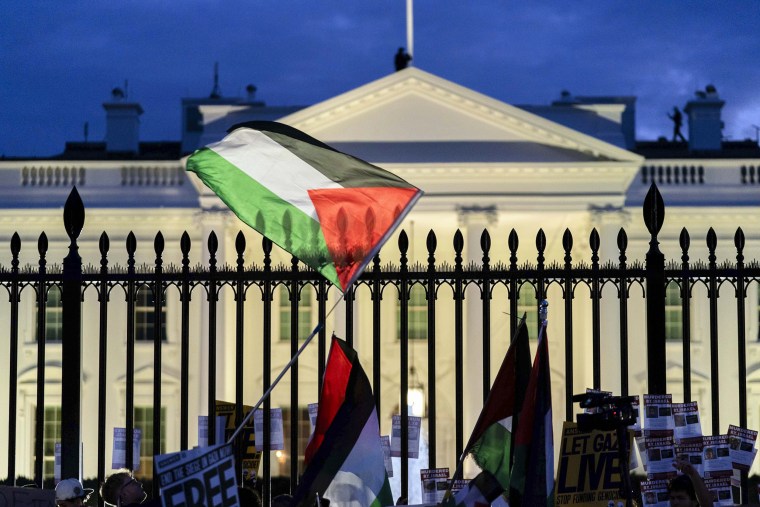 Pro-Palestinian protesters call for a cease-fire outside the White House.