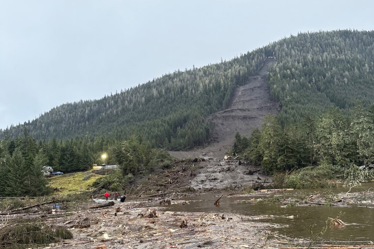 Debris and mud from a landslide extends from a forested mountain.