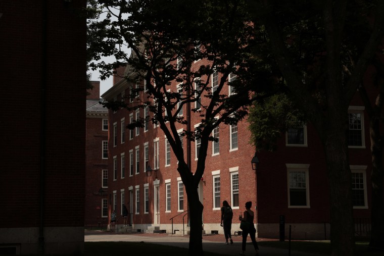 Shadows in Harvard Yard