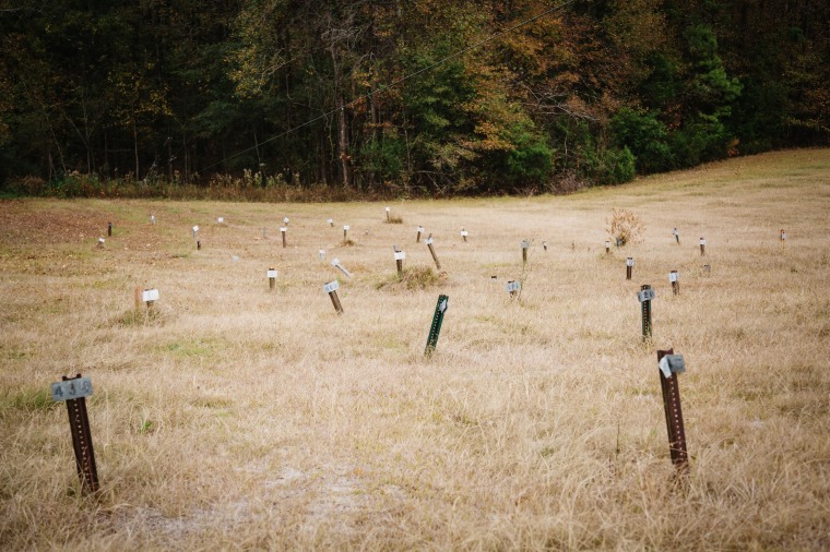 Numbered graves at the Hinds County penal farm.