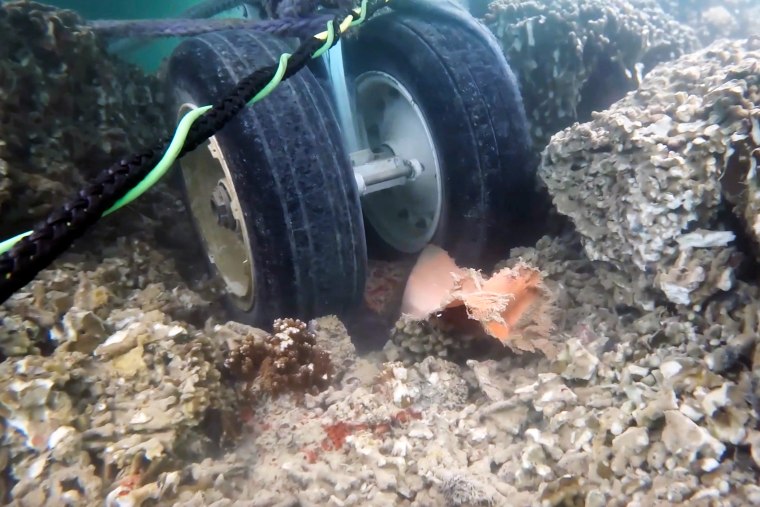 The U.S. Navy said the underwater footage shows two points where the large plane is touching coral in a Hawaii bay.
