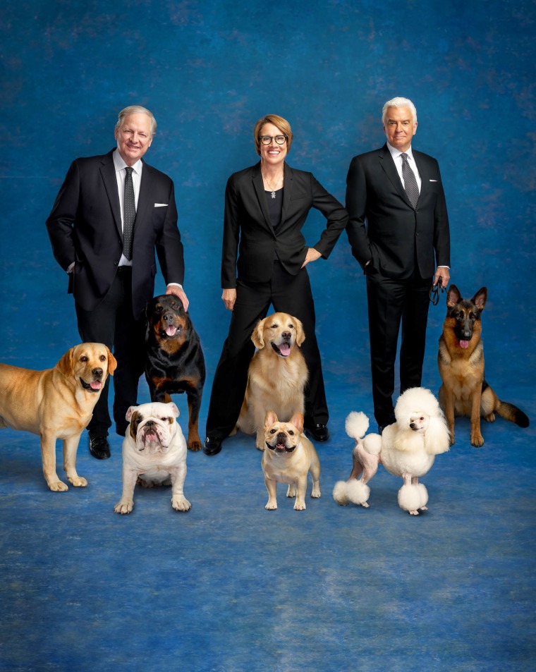 How To The Watch 2023 National Dog Show