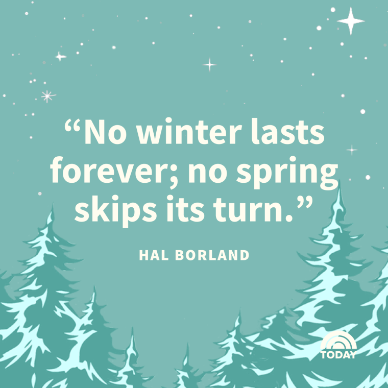 Winter Quotes