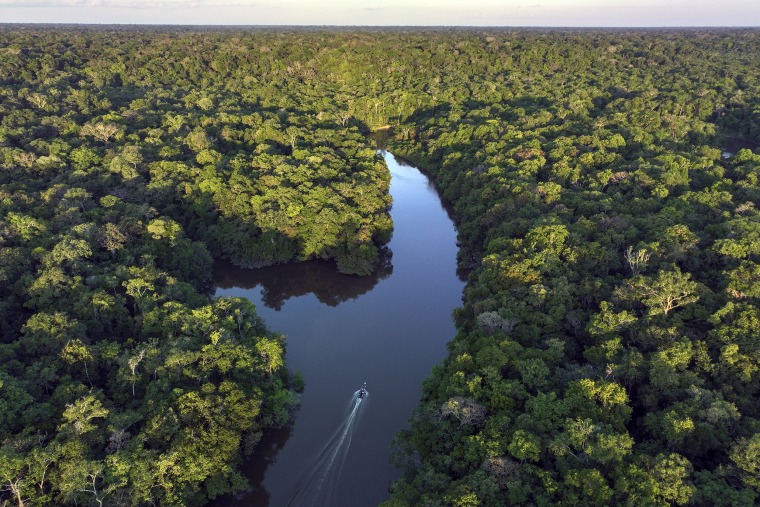 Juma tribe members pilot a boat on the Assua River in their territory near Canutama, Amazonas state, Brazil, Saturday, July 8, 2023. 