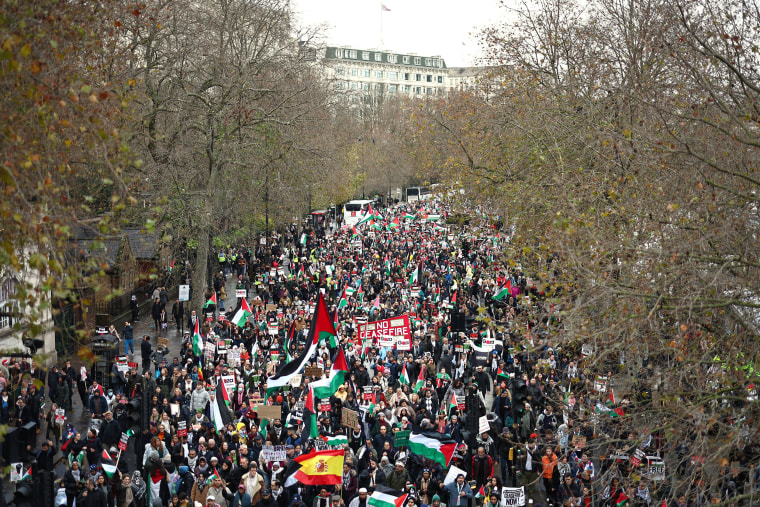 An aerial view of a large crowd of people with signs and flags marching in the streets of London