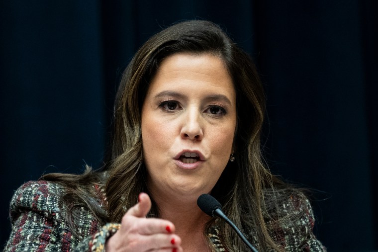 Elise Stefanik questions witnesses during a hearing.