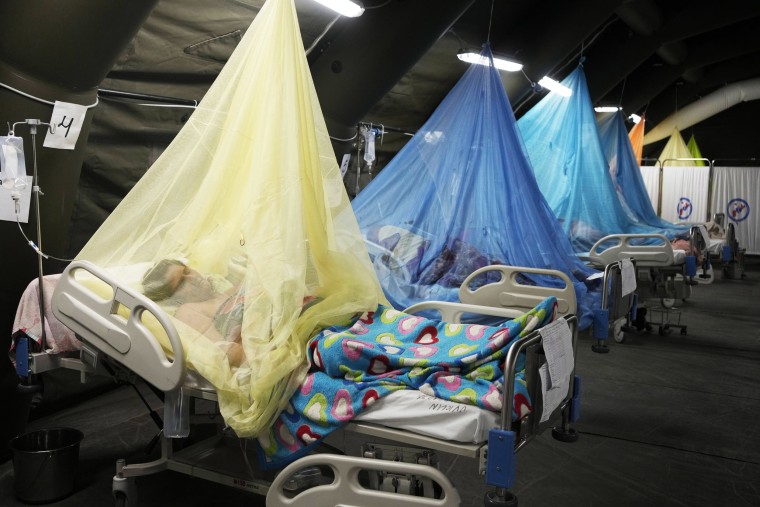 People lie in beds, covered by mosquito nets in a medical ward. 