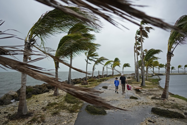 تصویر: آوار و درختان نخل در بادهای تند و باران در فلوریدا می وزند