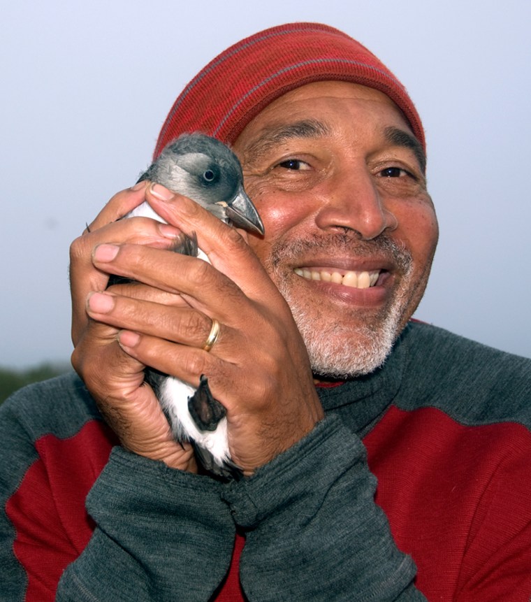 A portrait of the author holding a puffin chick.