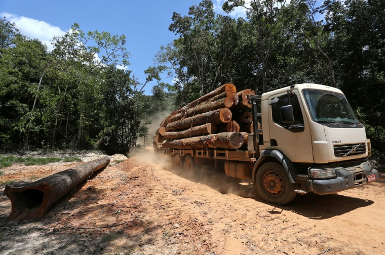 A truck loaded with logs drives on the BR-319 highway in Brazil's Amazonas state in 2019.