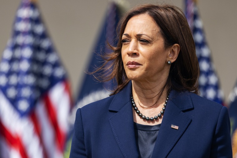 Eyes on 2024: Harris stresses focus on abortion rights in interview