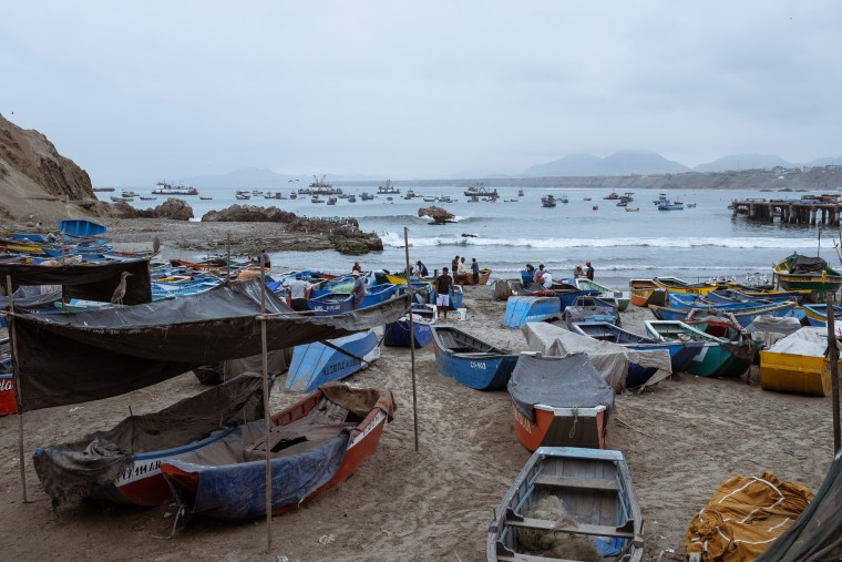 China Peru Fishing 