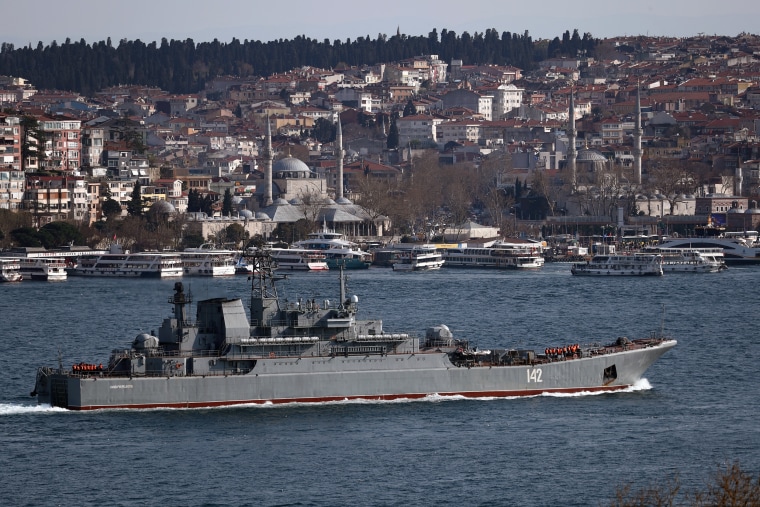 Russian Navy's large landing ship Novocherkassk in Istanbul, Turkey