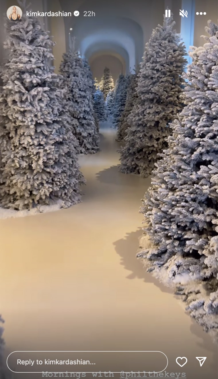 A hallway lined with Christmas trees.