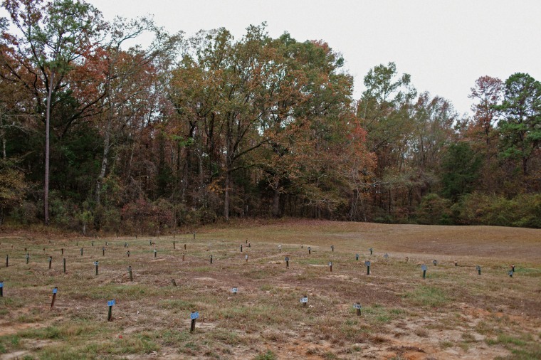 Pauper's field Potter's field in Mississippi