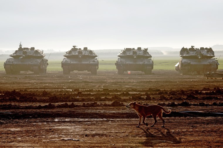 A dog walks near Israeli battle tanks deployed at a position along the border with the Gaza Strip on Jan. 2, 2024.
