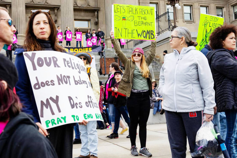 A woman holds up a sign that reads, "Let's talk about the elephant in the womb."
