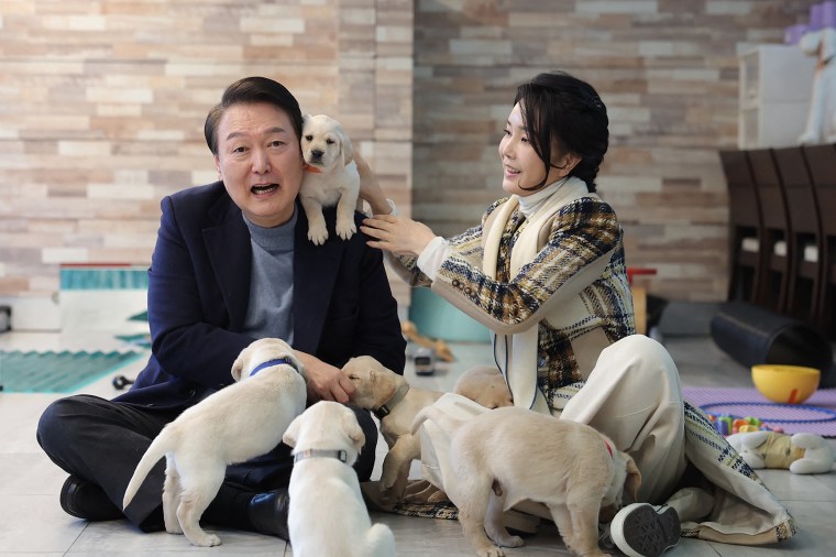 South Korea Dog Meat Ban