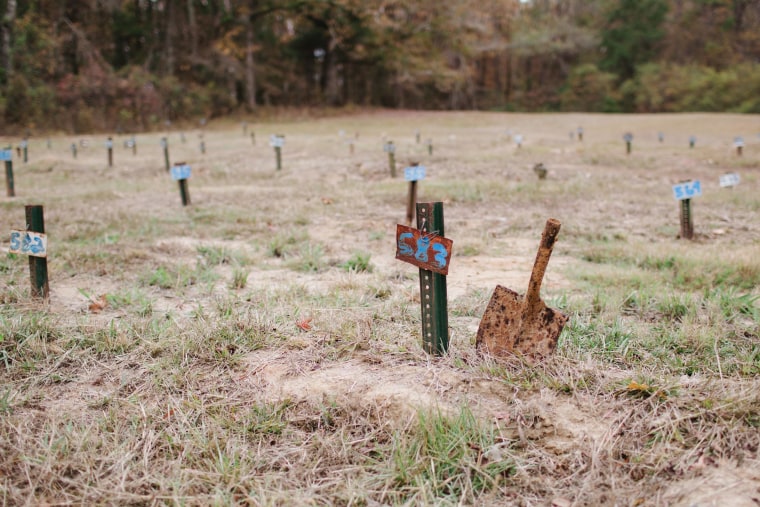 Image: Metal stakes with numbered signs dot a grassy field. A rusty shovel sits next to one of the stakes.