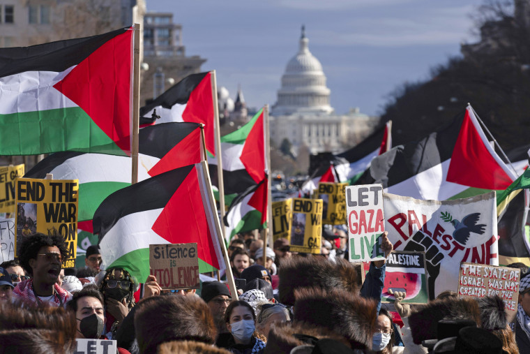 Image: Palestine Rally