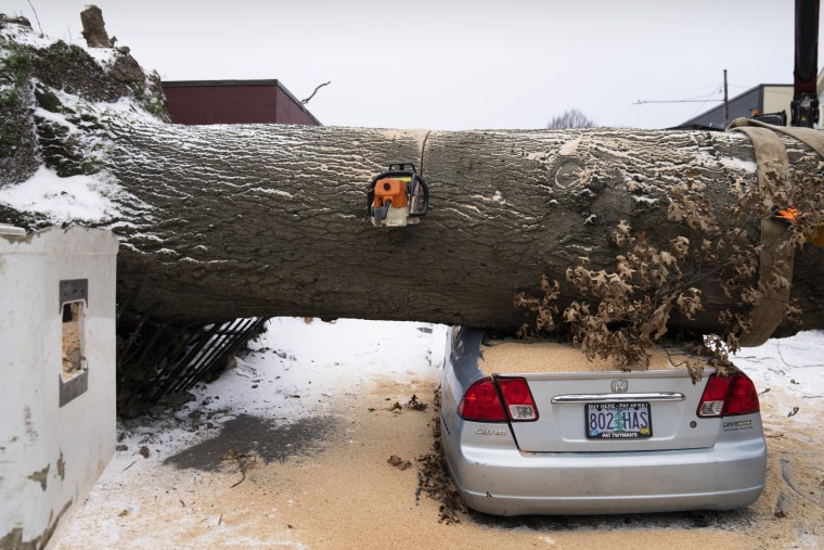 A chainsaw rests on a fallen tree on January 13, 2024, in Portland, Oregon. 