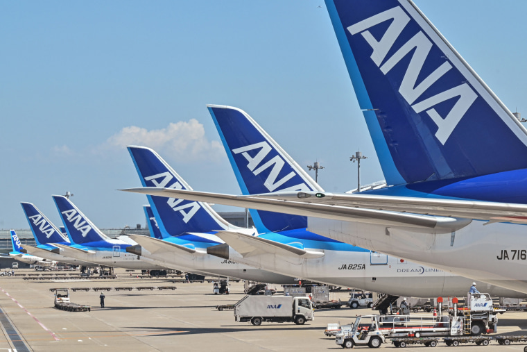 A line of All Nippon Airways (ANA) planes at Tokyo International Airport.