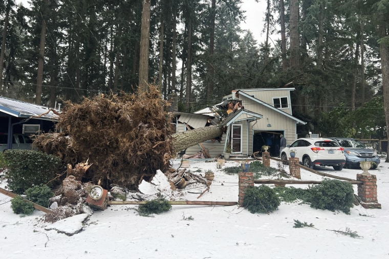 Tree falling through house in Oregon