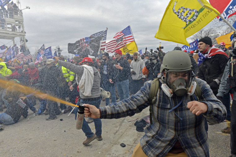 "BluePlaidSprayer", Trump supporters clash with police and security forces as people try to storm the US Capitol Building in Washington, DC, on January 6, 2021.