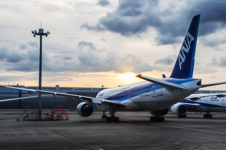 Passenger planes of All Nippon Airways seen parked at Haneda