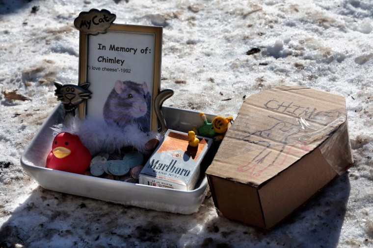 Memorial image and objects left for "Chicago Rat Hole." 