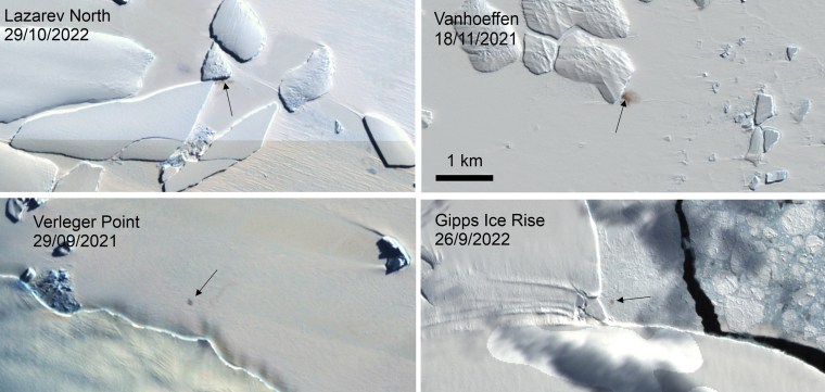 Scientists have spotted previously unknown colonies of emperor penguins in new satellite imagery. At least some emperor penguins are moving their colonies as melting ice from climate change threatens breeding grounds.