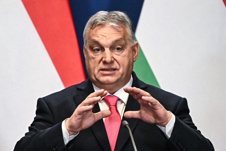 Image: Hungary's Prime Minister Viktor Orban