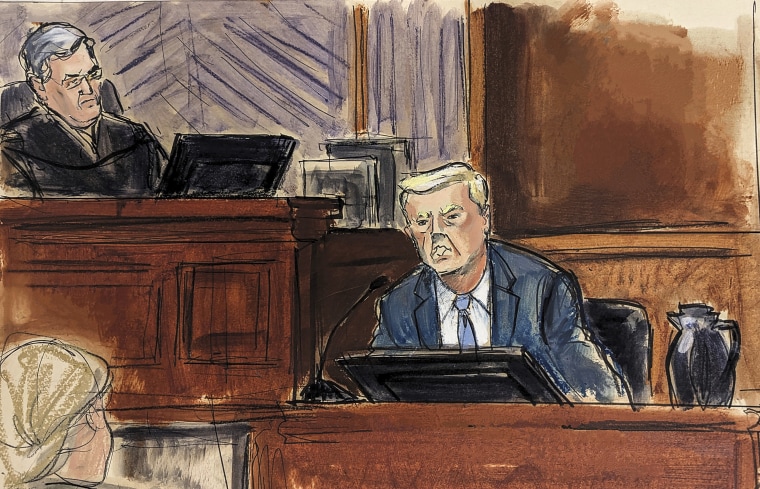 Image: Donald Trump, testifies in Federal Court, as Judge Lewis Kaplan, left, listens