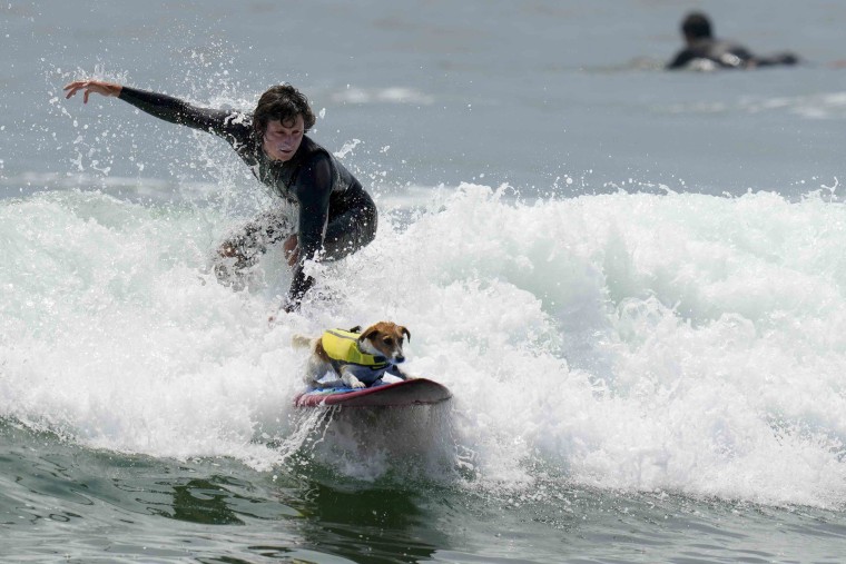 Mauro Canella and his dog Efruz ride surf in San Bartolo, Peru