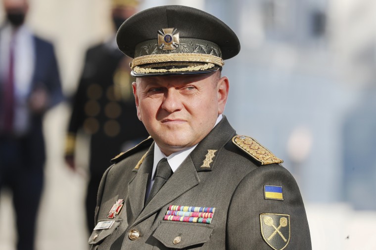 Top Ukraine General Zaluzhny Replaced