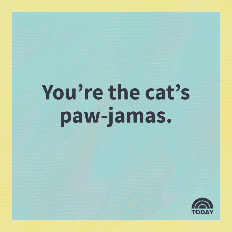 Cat puns
