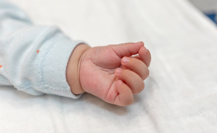 Close-up of baby's hands