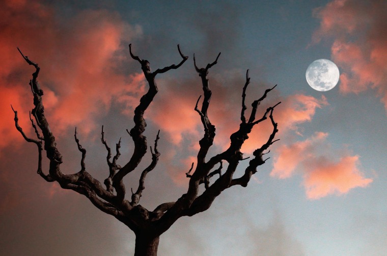 What October 2024's Full Moon In Aries Means For Your Sign