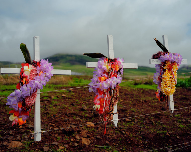 White crosses memorialize each of the fire's victims at a Lahaina memorial.