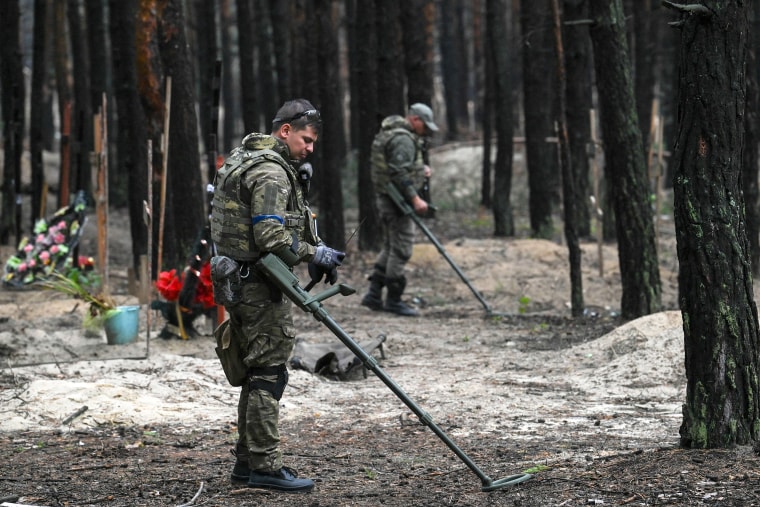 ukraine russian war conflict landmine land mins detection