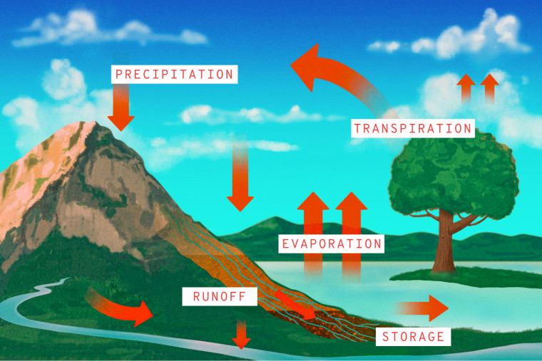 Labelled Illustration of water cycle