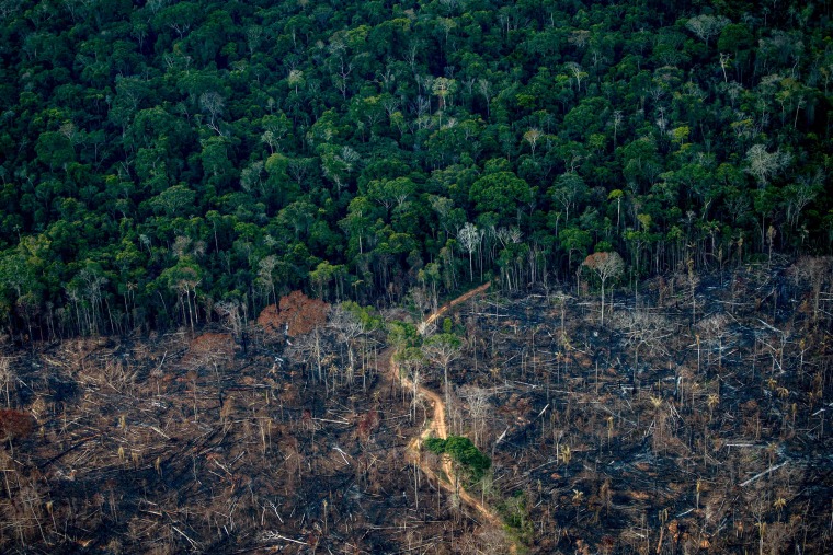Aerial view show a deforested area of Amazonia rainforest in Labrea, Brazil, on Sept. 15, 2021.