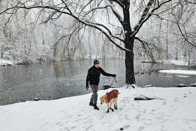 A man walks a dog in the snow in Central Park in New York.