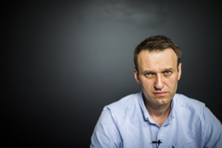 Russian opposition leader Alexei Navalny in 2017, shortly after being released from jail.