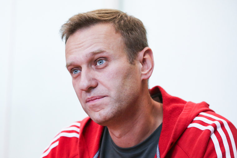 Alexei Navalny attends a hearing