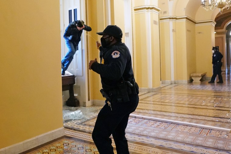 A Capitol police officer shoots pepper spray at Michael Sparks as he enters the Capitol